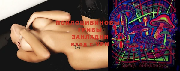 ПСИЛОЦИБИНОВЫЕ ГРИБЫ Балахна