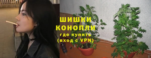 ПСИЛОЦИБИНОВЫЕ ГРИБЫ Балахна