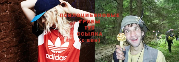 spice Баксан