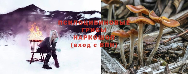 spice Баксан