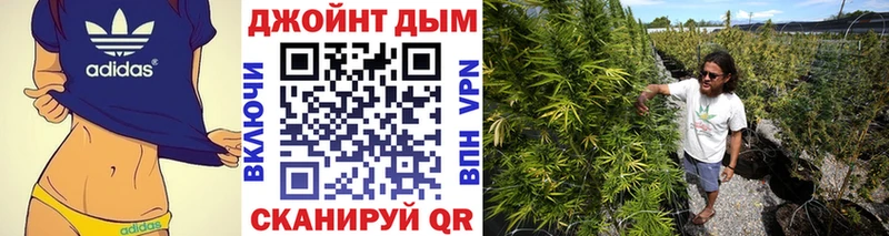 Канабис план  гидра онион  Богданович 
